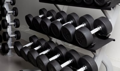 free-weights-gym_ZOVV57P